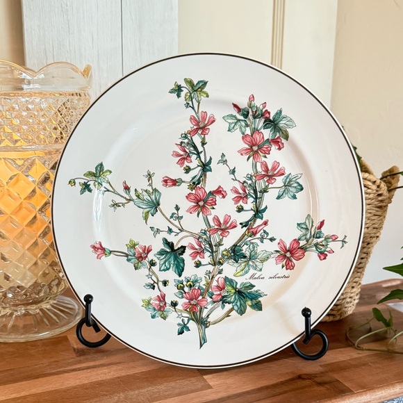 SET/4 Villeroy & Boch,”Botanica Collection”,10.5” Dinner Plates,Anthemis & Malva - Picture 8 of 15